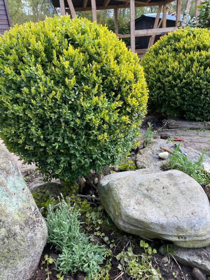 Nordseevilla Jade Schweiburg ภายนอก รูปภาพ